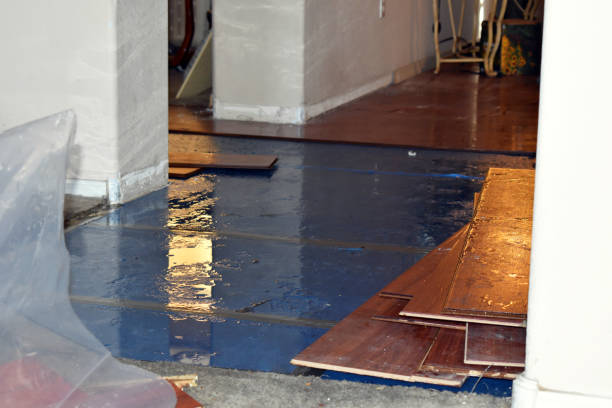 Professional Water Damage Repair technician working in Newtonville, MA